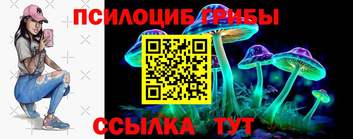 Галлюциногенные грибы GOLDEN TEACHER  Псилоцибиновые грибы ЛСД  Солнечногорск  Вход с VPN 